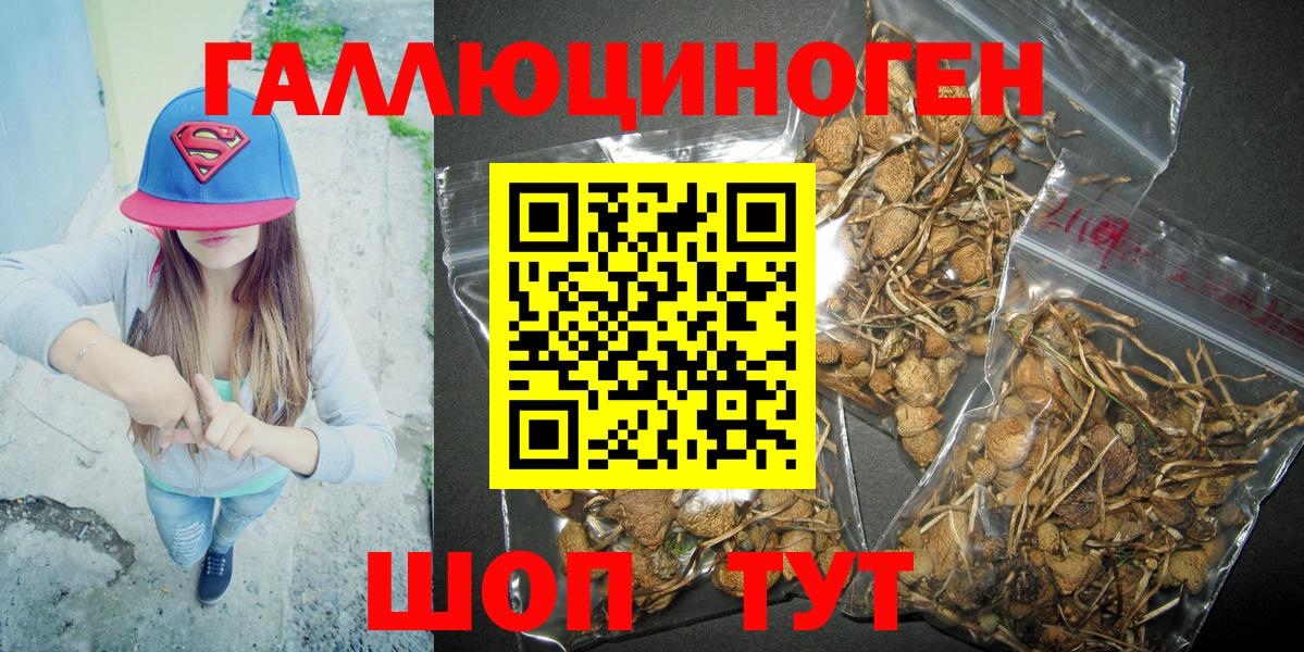 где продают   Вход с VPN  Елабуга  Галлюциногенные грибы Magic Shrooms 
