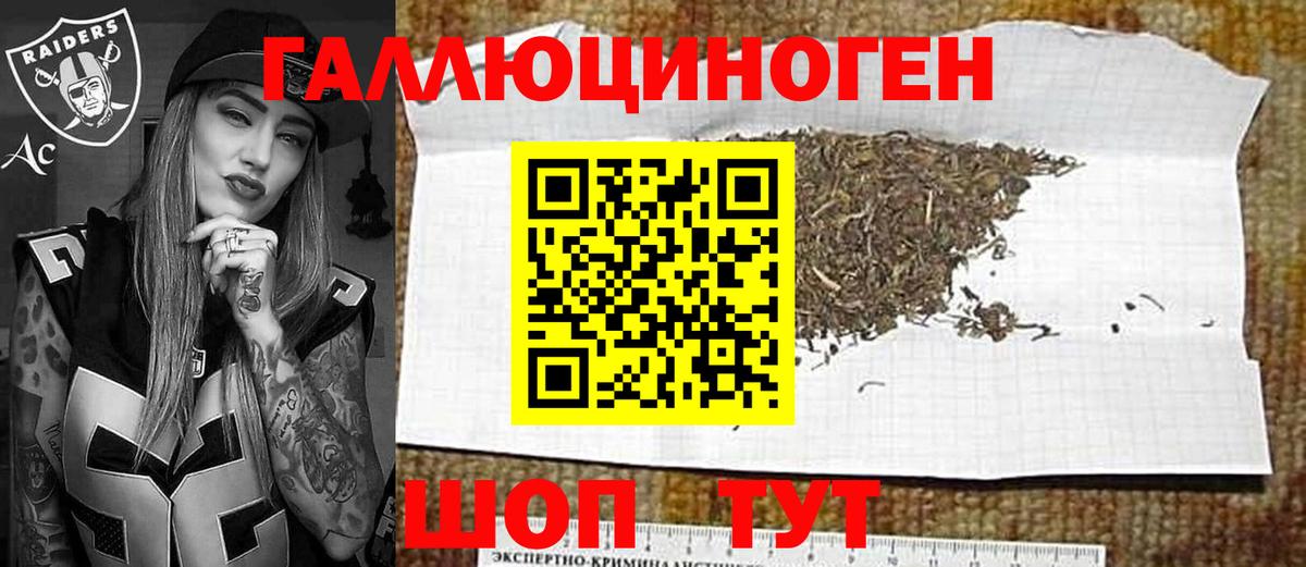 Галлюциногенные грибы Psilocybe Елабуга
