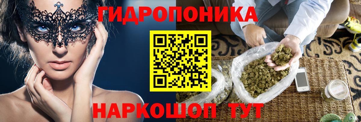 Каннабис сатива Елабуга